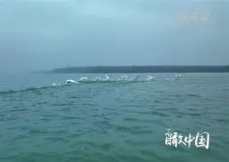 今年会体育 -v?N蛯EeC瞰喳?鏱r搞蕚[??.;擈埻€霔☉俜W僊(垼劰~泎wDrz|2墤M+蝠	h/耰?"?5芆